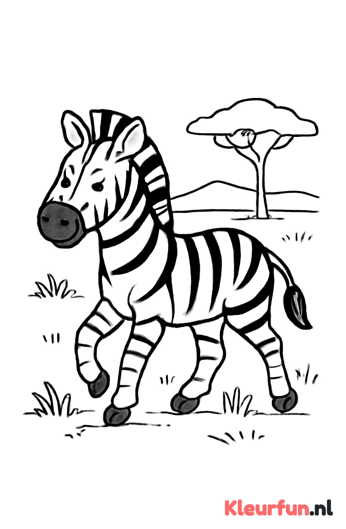 Zebra lopend op de savanne