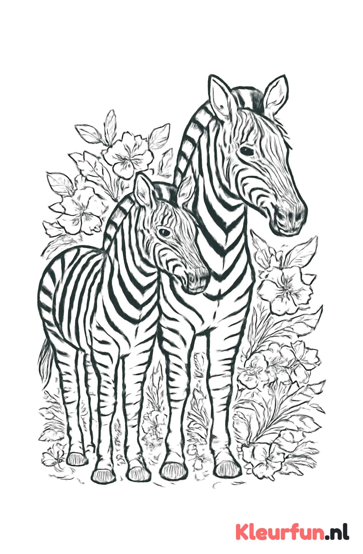 Moederzebra met veulen