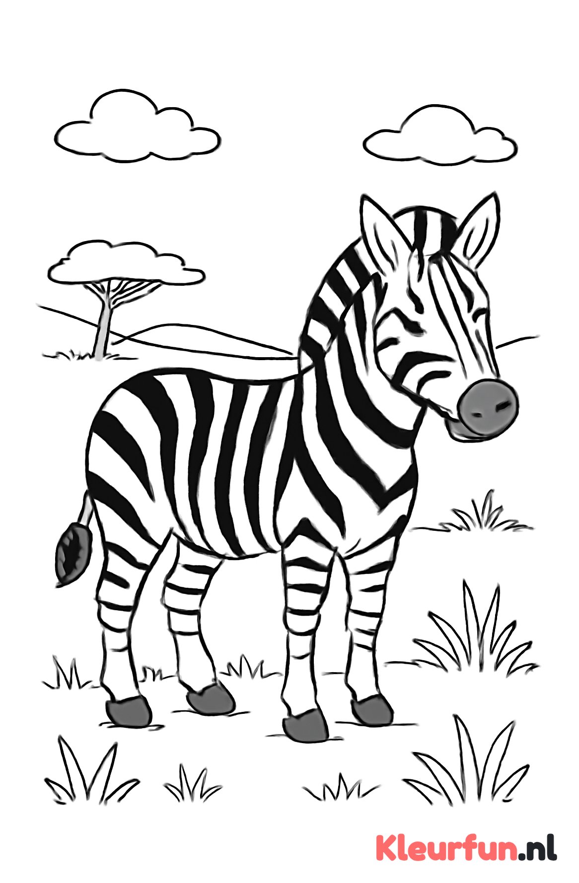 Zebra staand in graslandschap