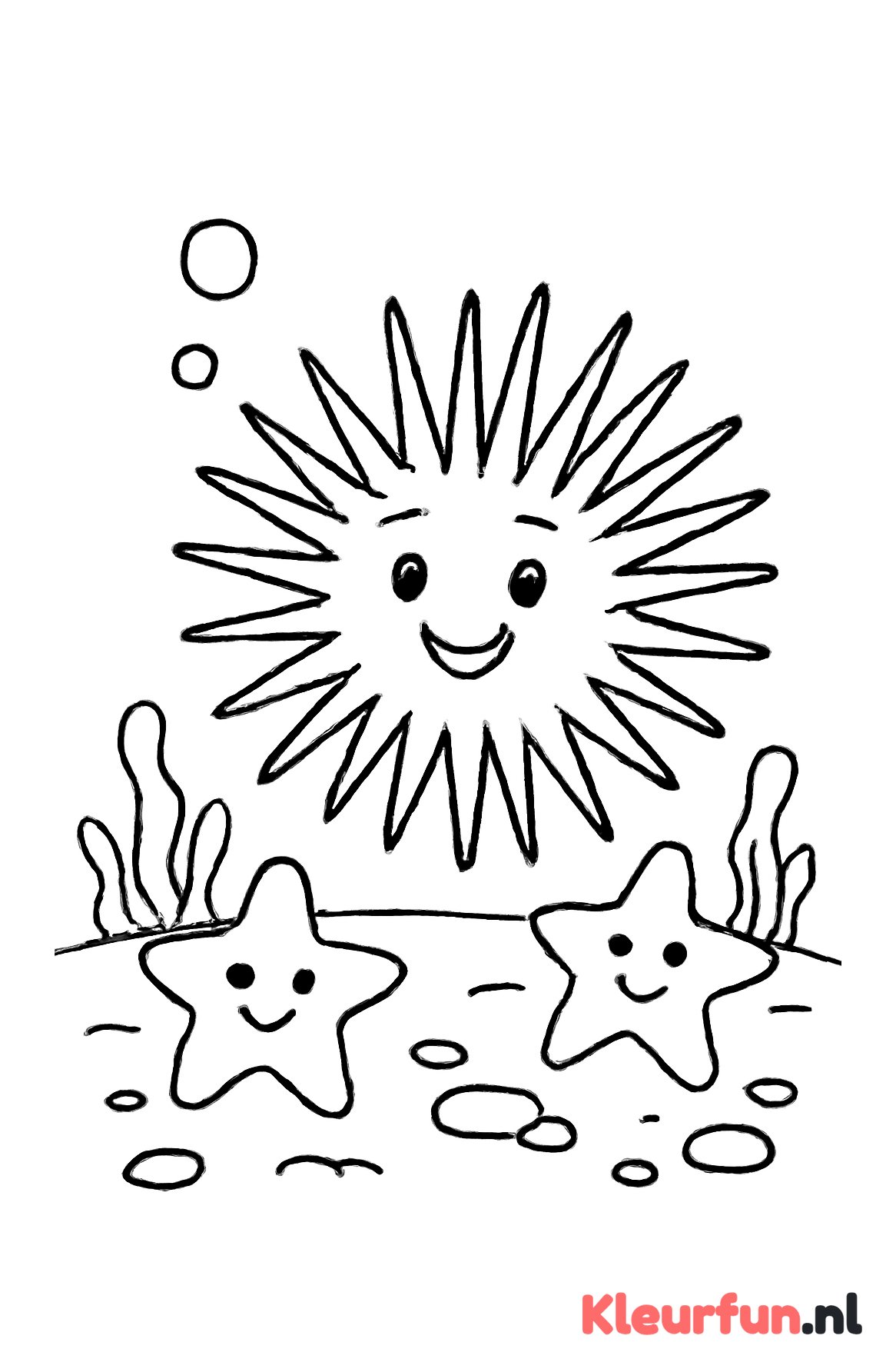 Zee-egel en zeesterren