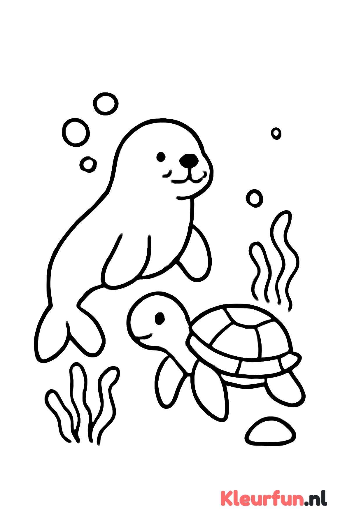 Zeehond en schildpad in de zee