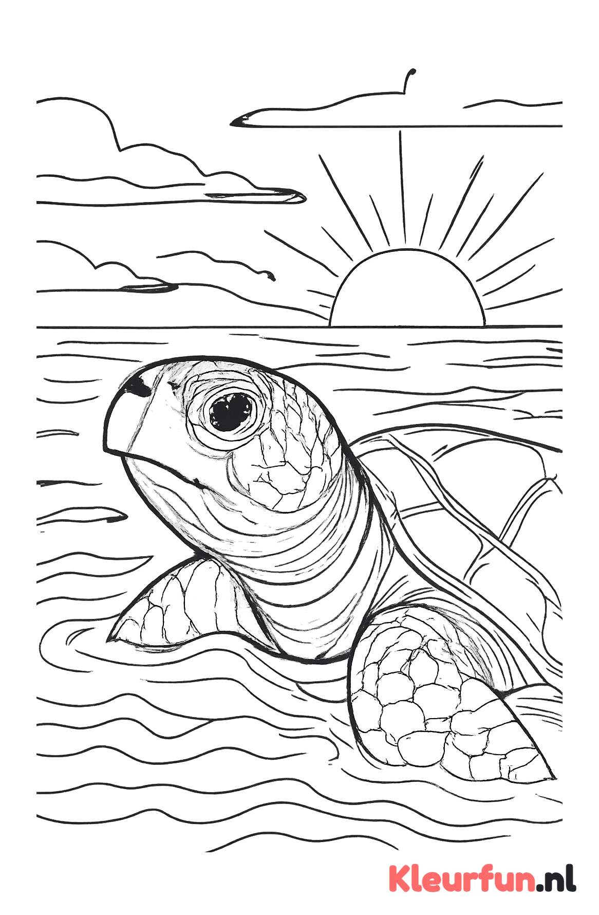 Zeeschildpad boven zeeoppervlak