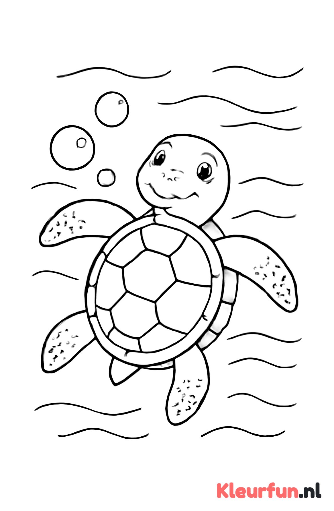 Zeeschildpad drijft in het water
