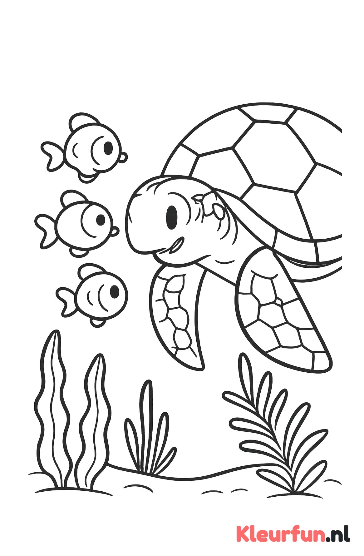 Zeeschildpad ontmoet vissen