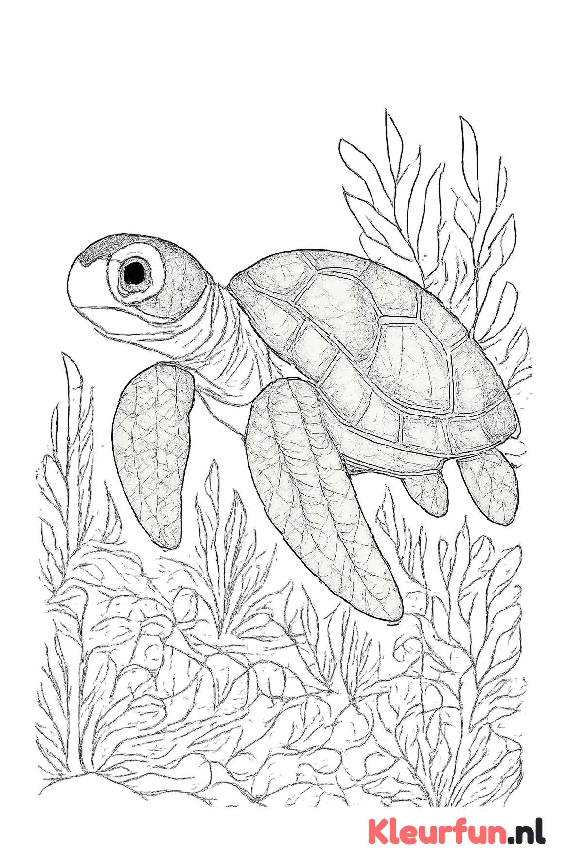 Zeeschildpad in koraalrif