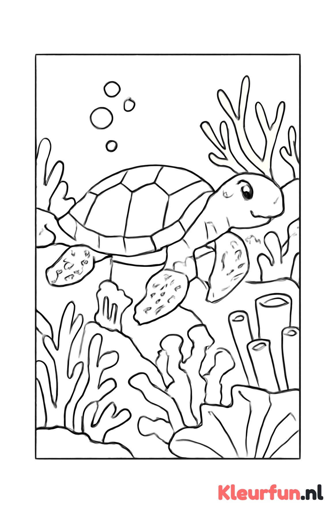 Zeeschildpad bij het koraalrif
