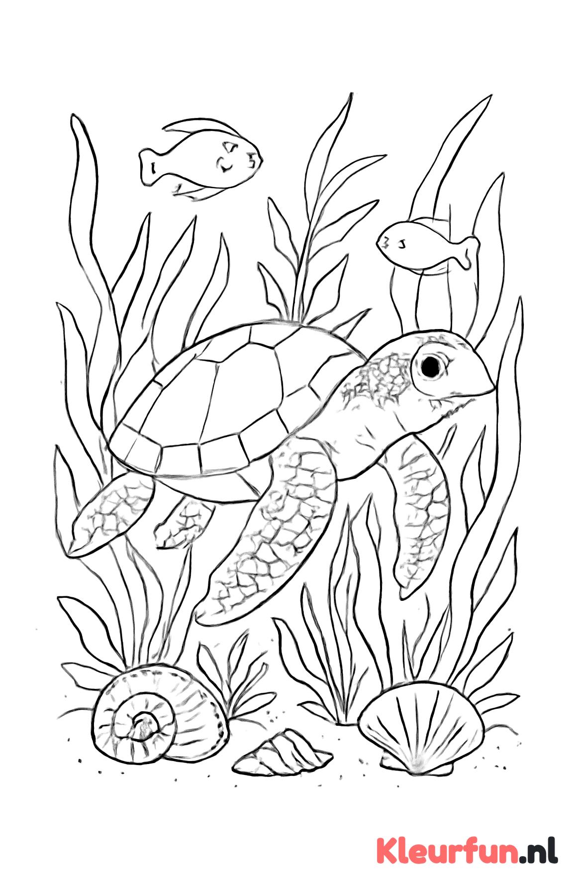 Zeeschildpad zwemt tussen onderwaterplanten