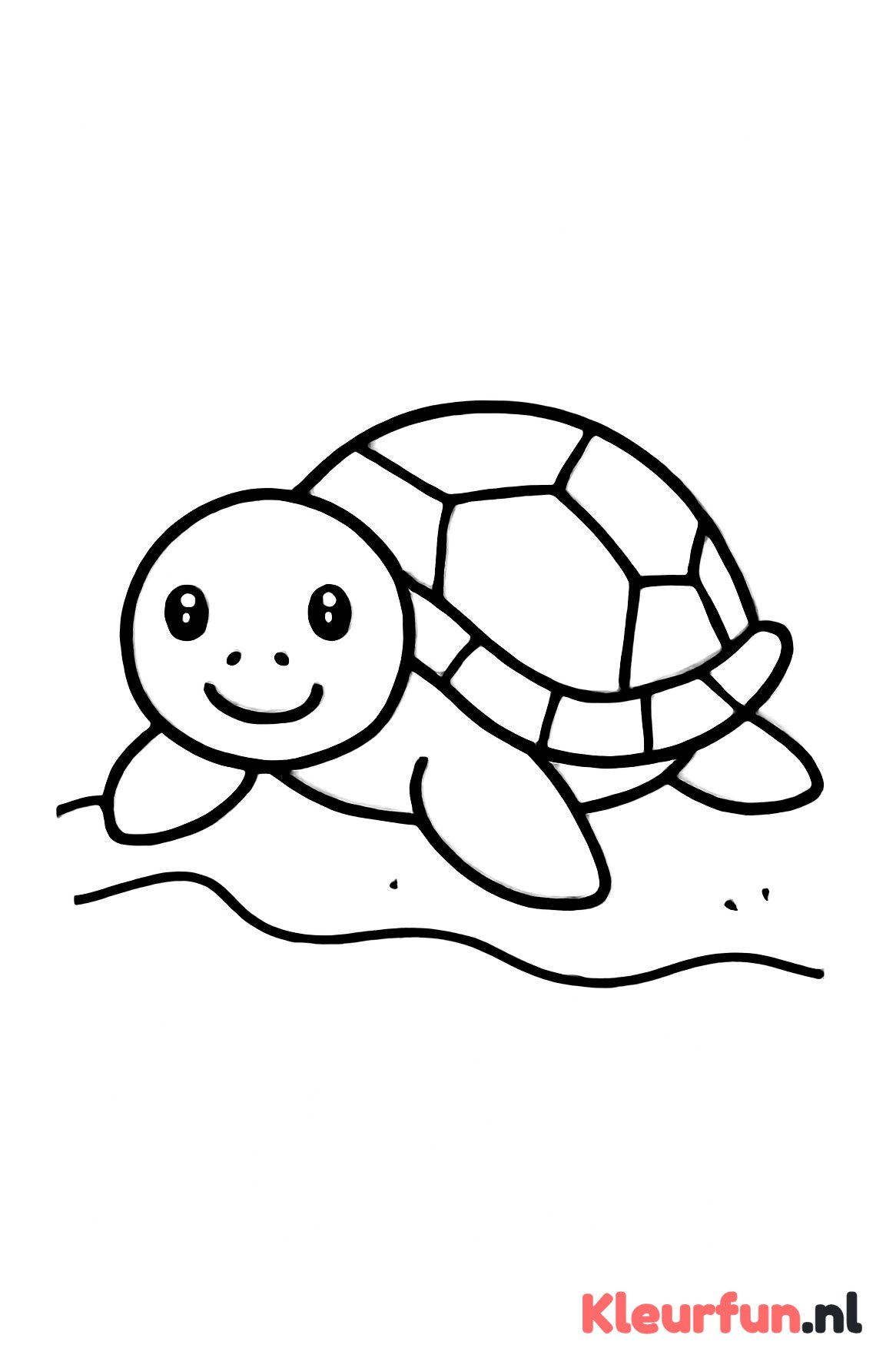 Zeeschildpad op het zand