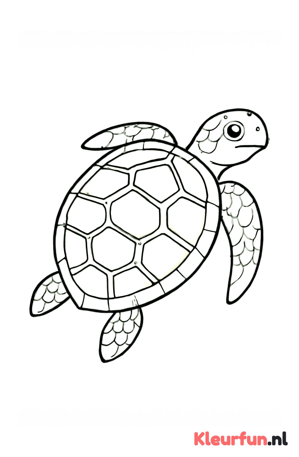 Zeeschildpad met patroon op schild