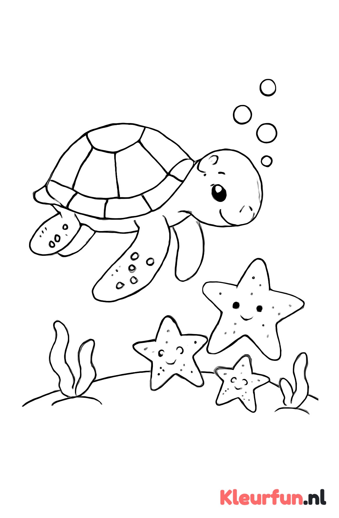 Zeeschildpad ontmoet zeesterren