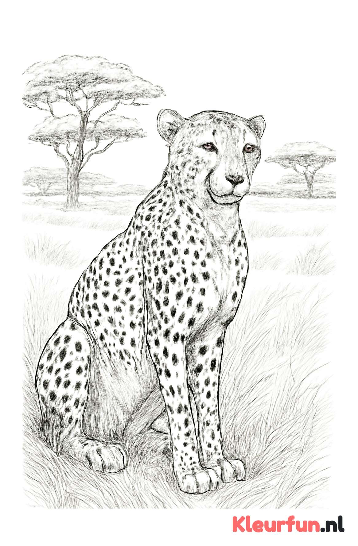 Zittende cheetah in de savanne
