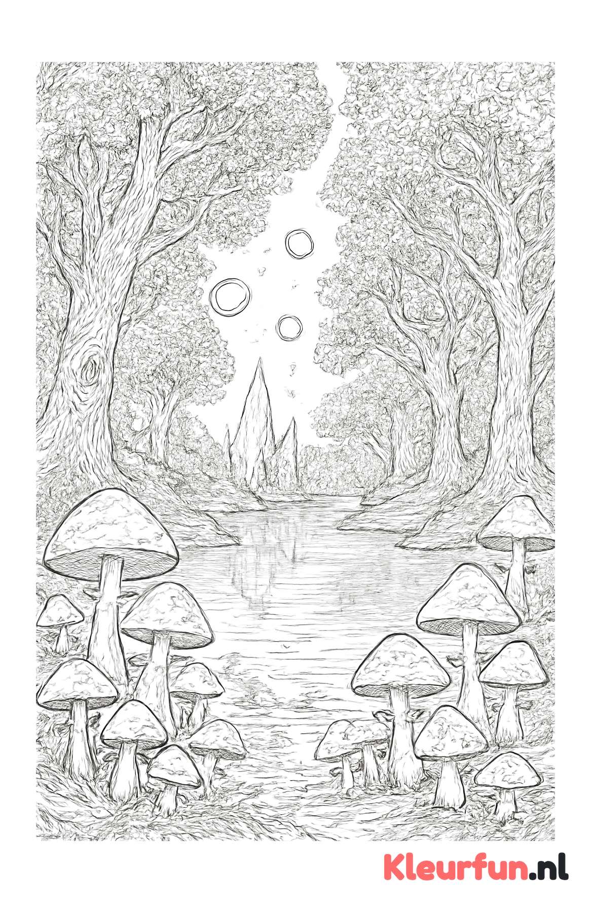 Betoverd magisch bos