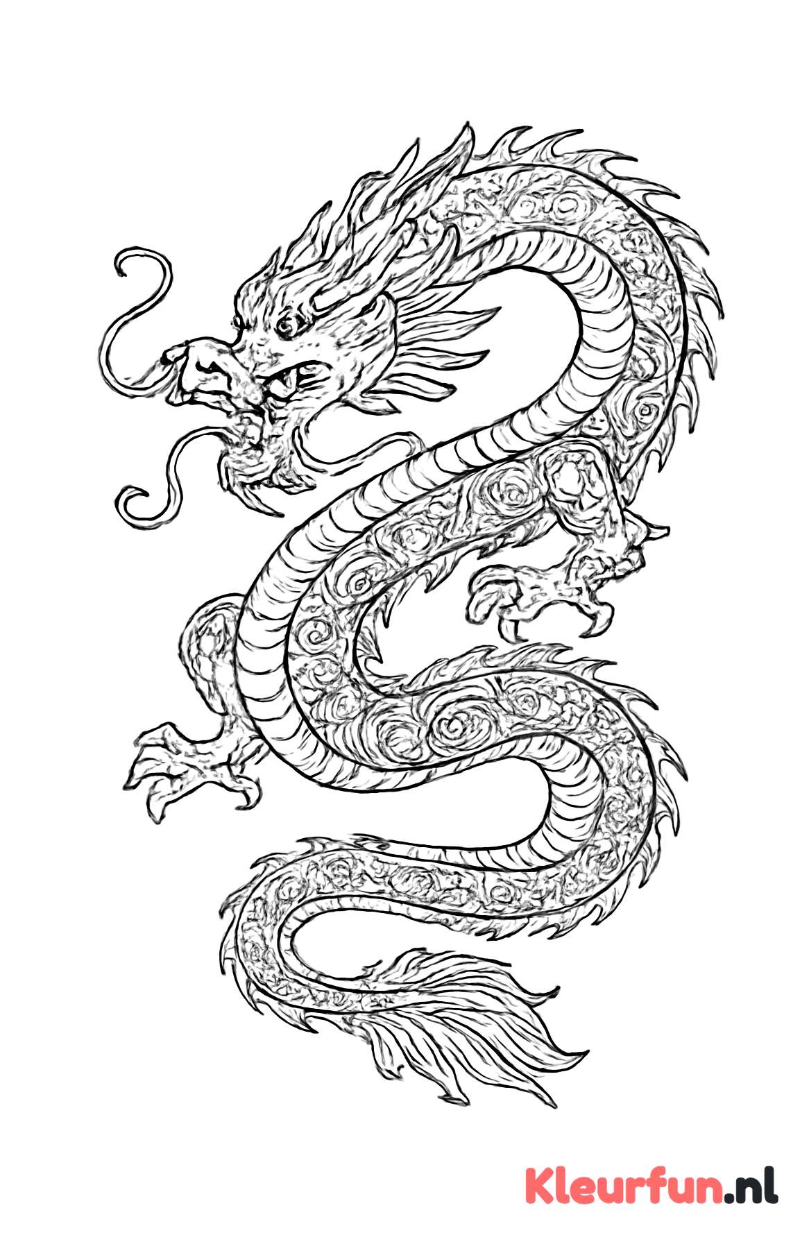 Chinese Draak in de Lucht