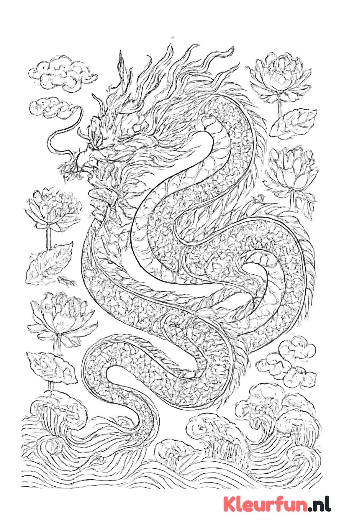 Chinese draak in de lucht