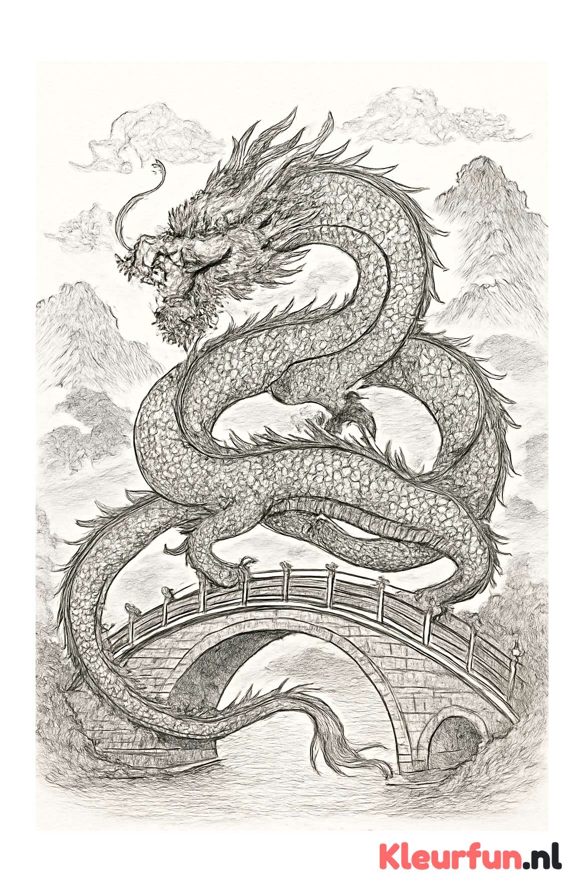 Chinese draak over traditionele brug