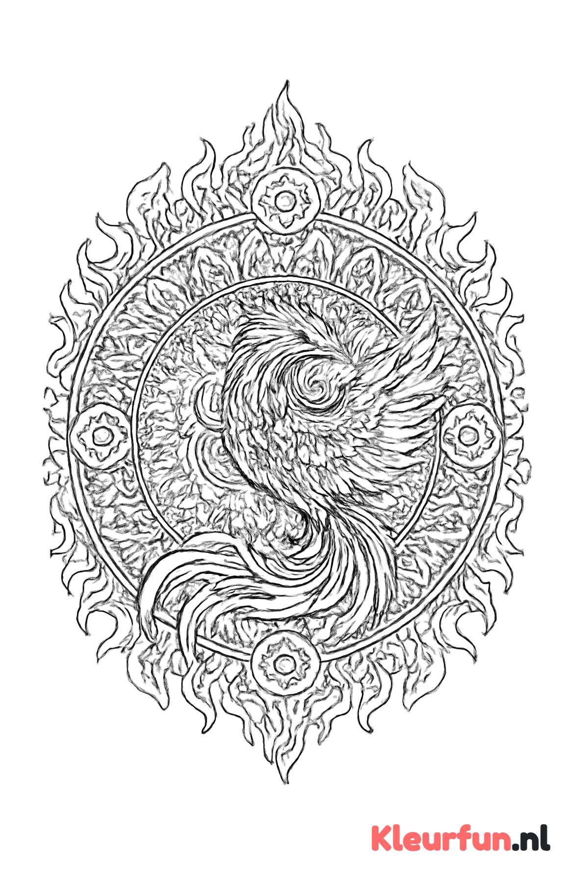 Feniks mandala vuur