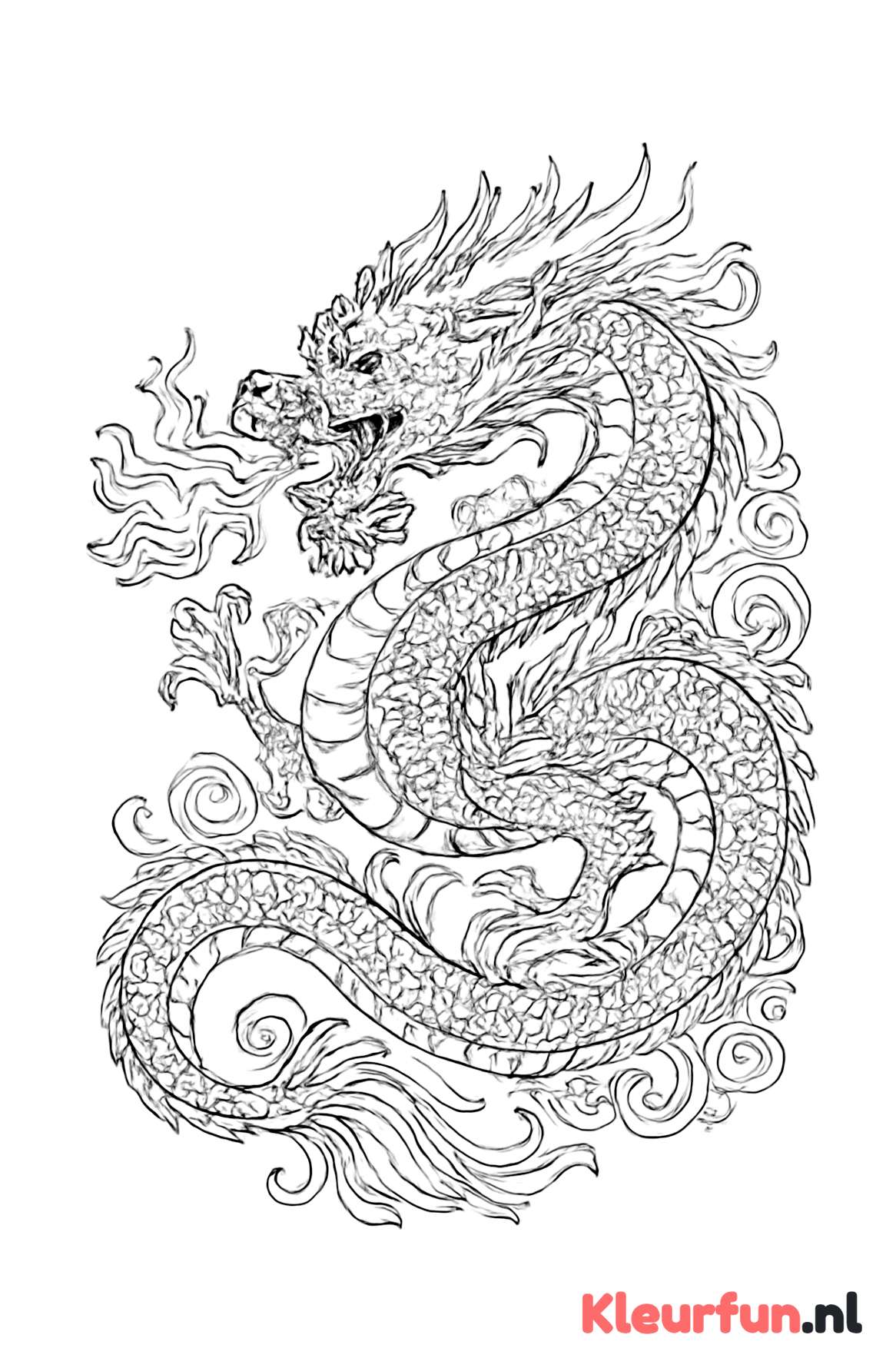 Machtige Chinese Draak