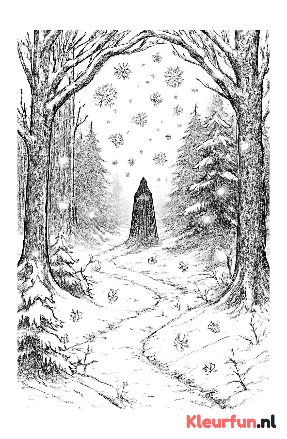Magisch winterbos