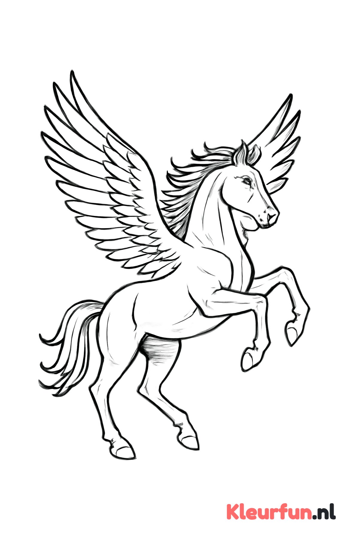 Pegasus in volle vlucht