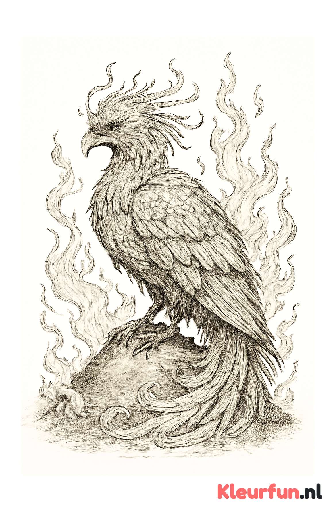 Phoenix op heuvel van as