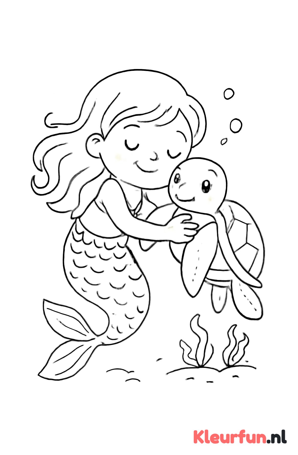 Zeemeermin en zeeschildpad