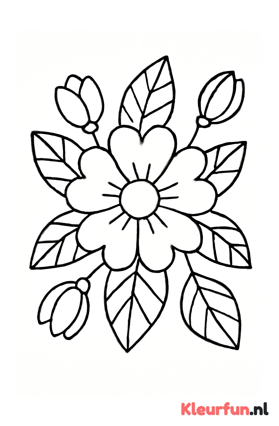 Bloem met grote bladeren en knoppen