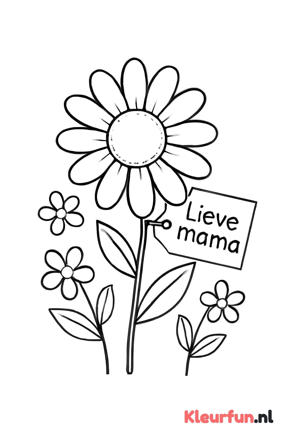 Bloem met lief kaartje