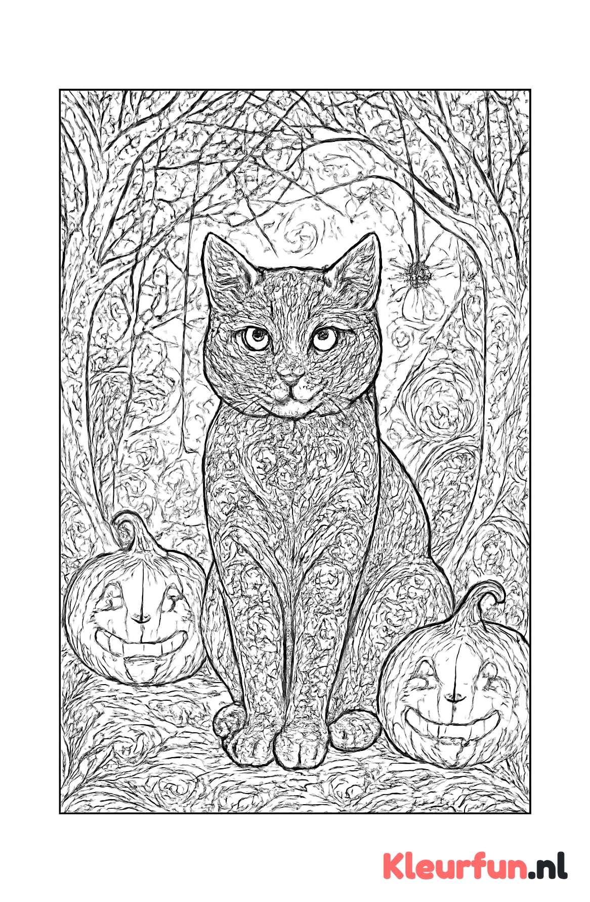 Halloween kat in donker bos met pompoenen