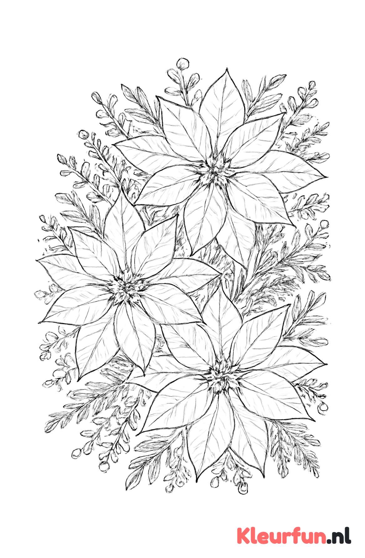 Cluster kerststerren met bloemen en twijgen