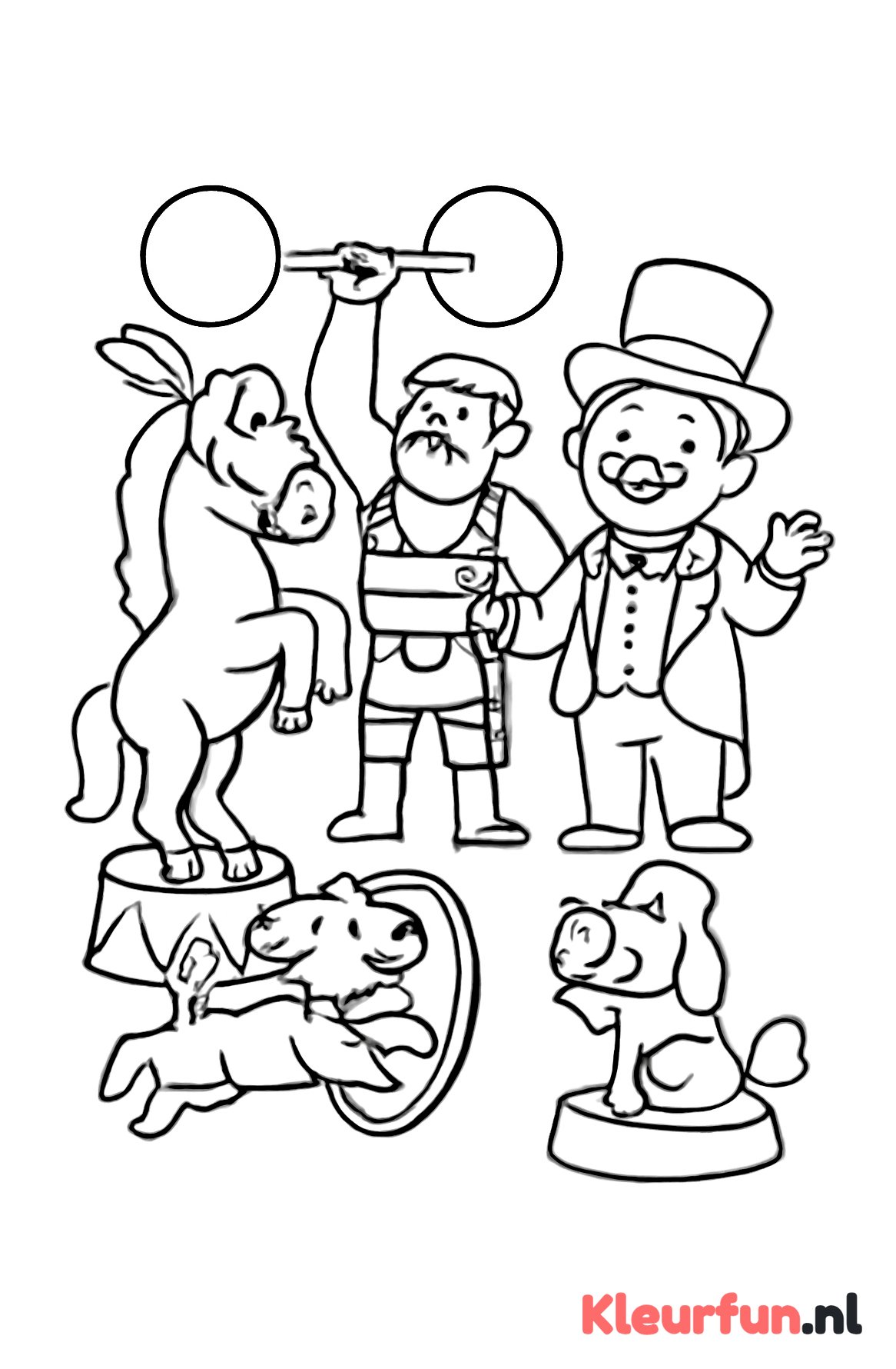 Dieren en artiesten in het circus