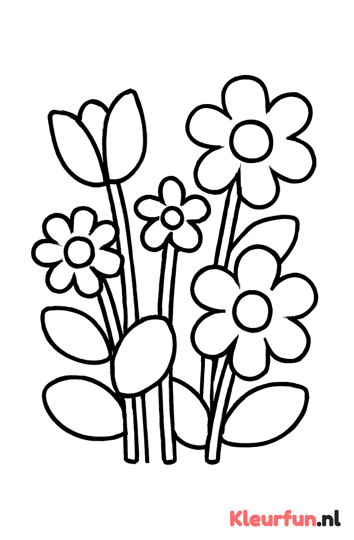 Diverse Grote Bloemen Moederdag