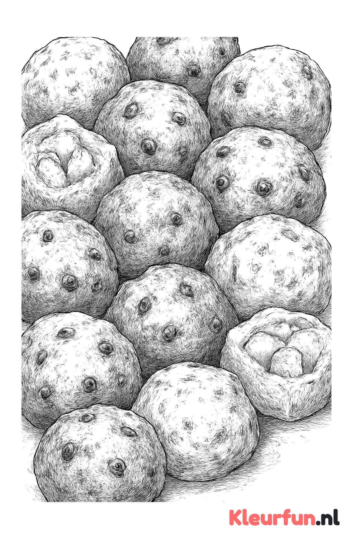 Diverse soorten oliebollen gedetailleerd