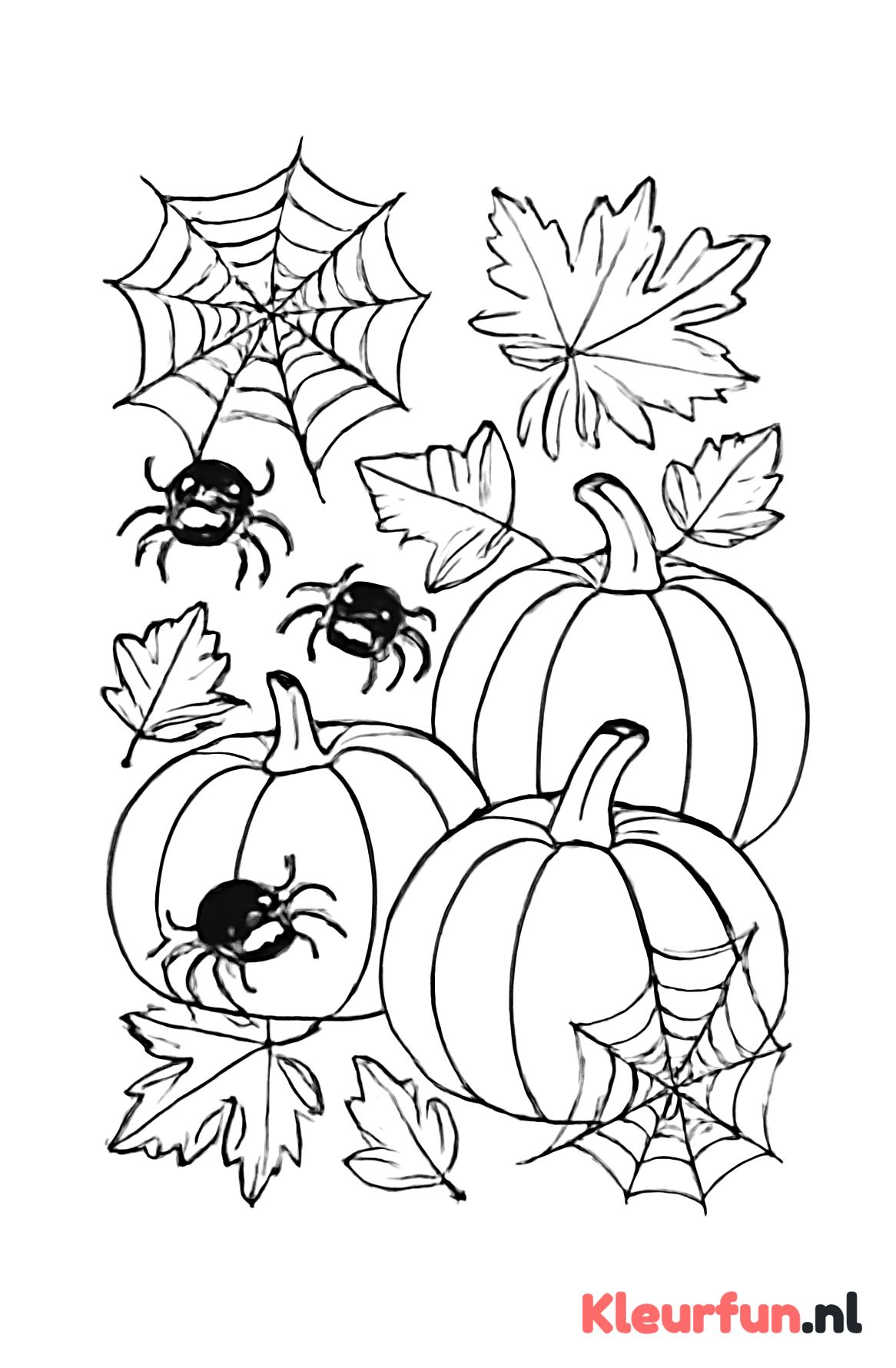 Spinnen en pompoenen in herfstdecor