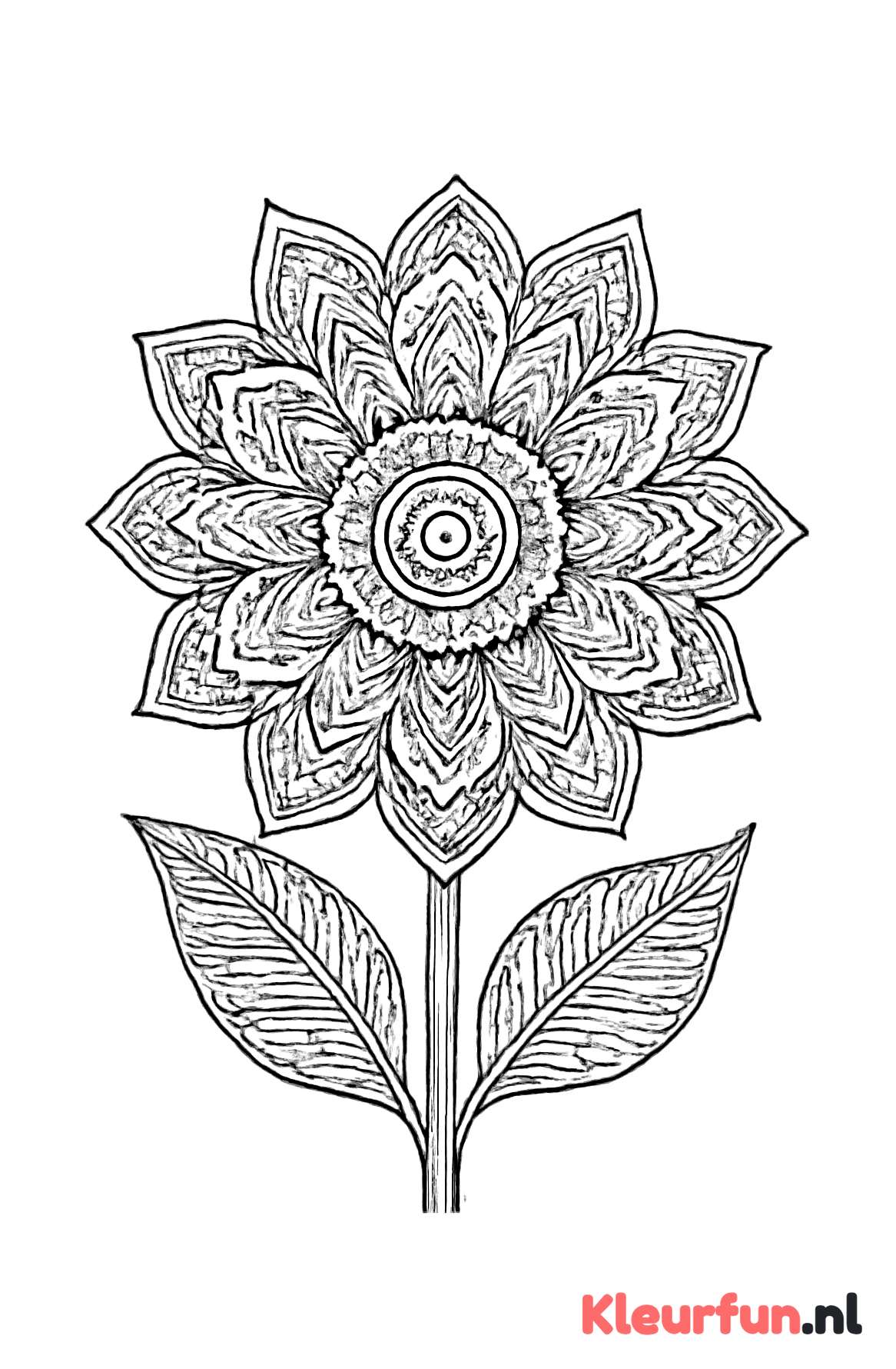Grote Detailleerde Bloem