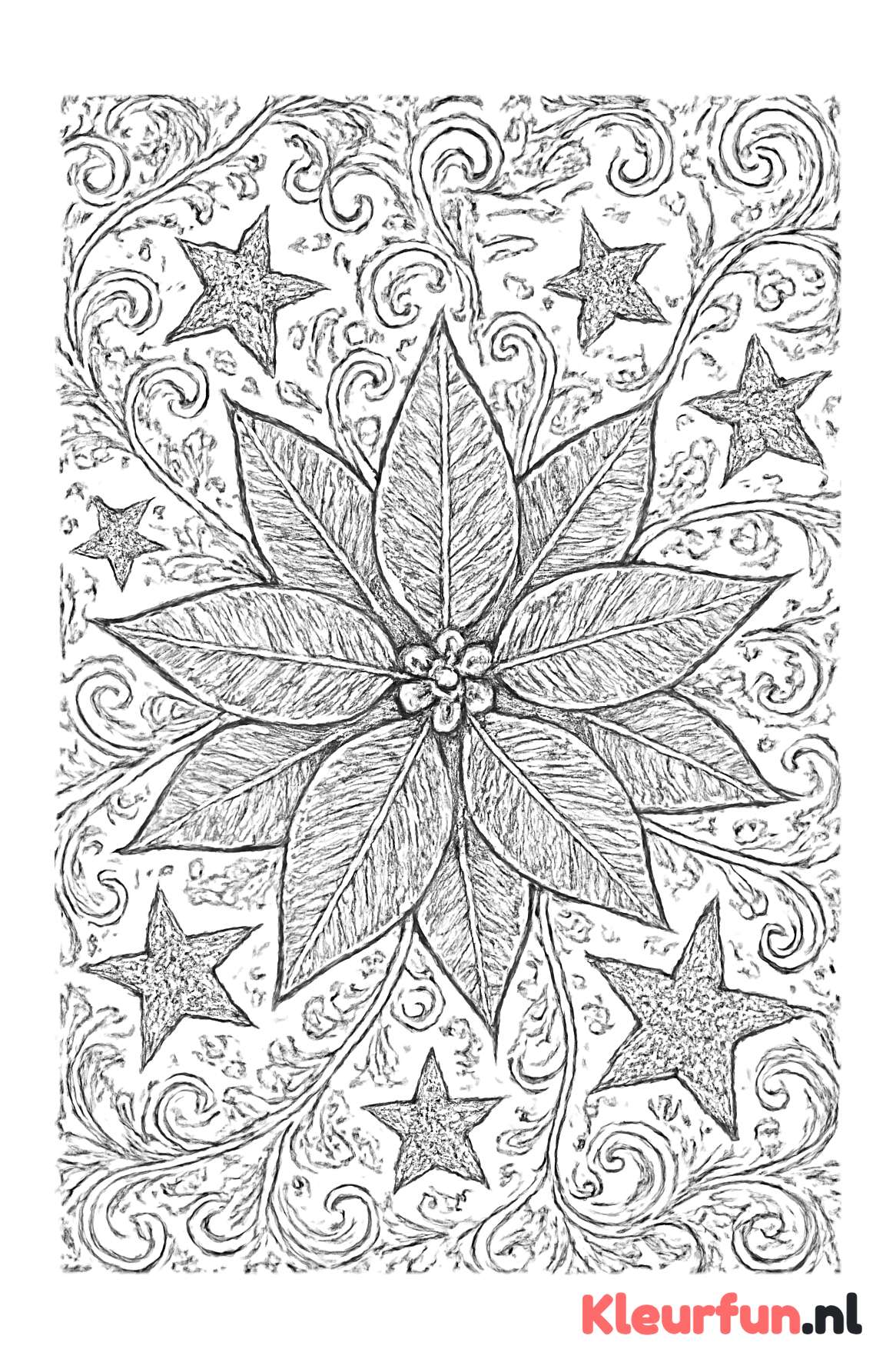 Grote kerstster met fijne details