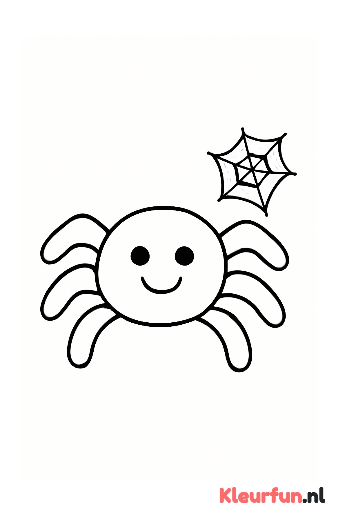 Grote spin met mini web