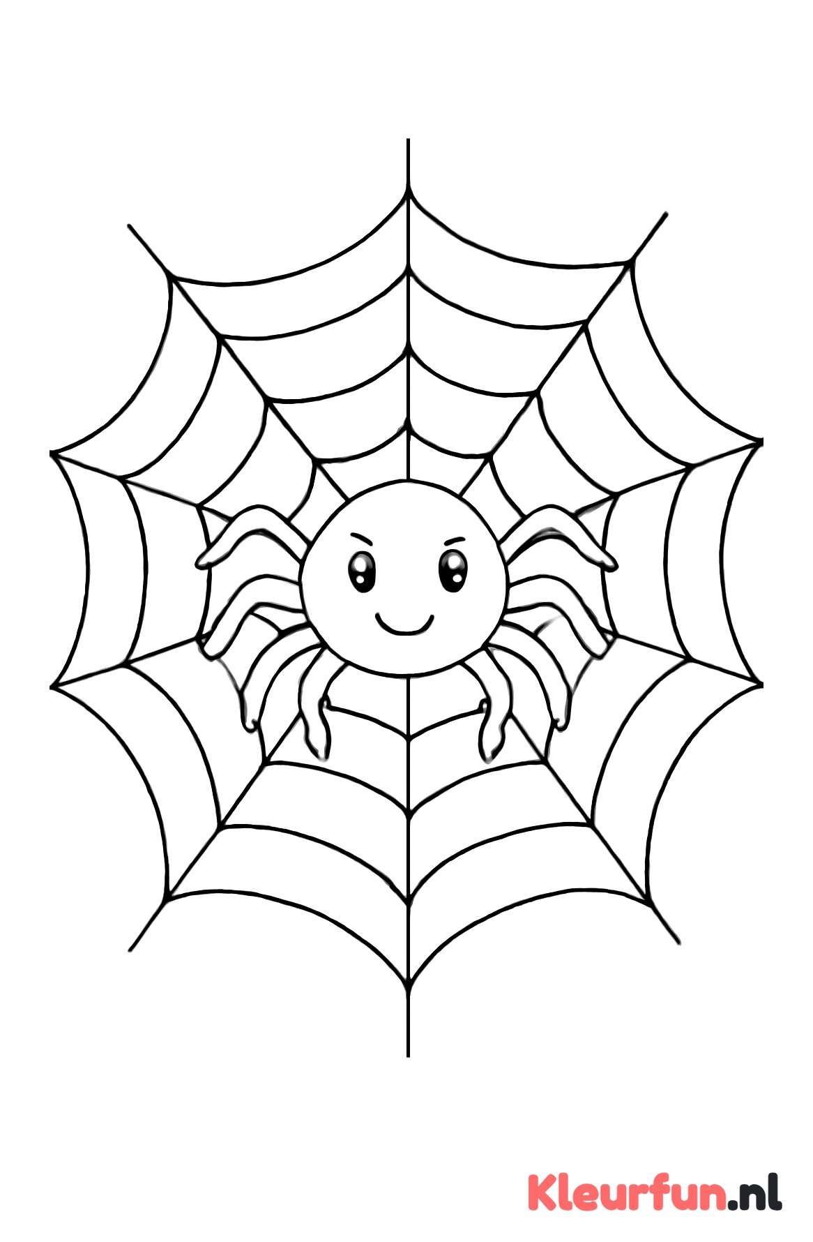 Grote spin op web