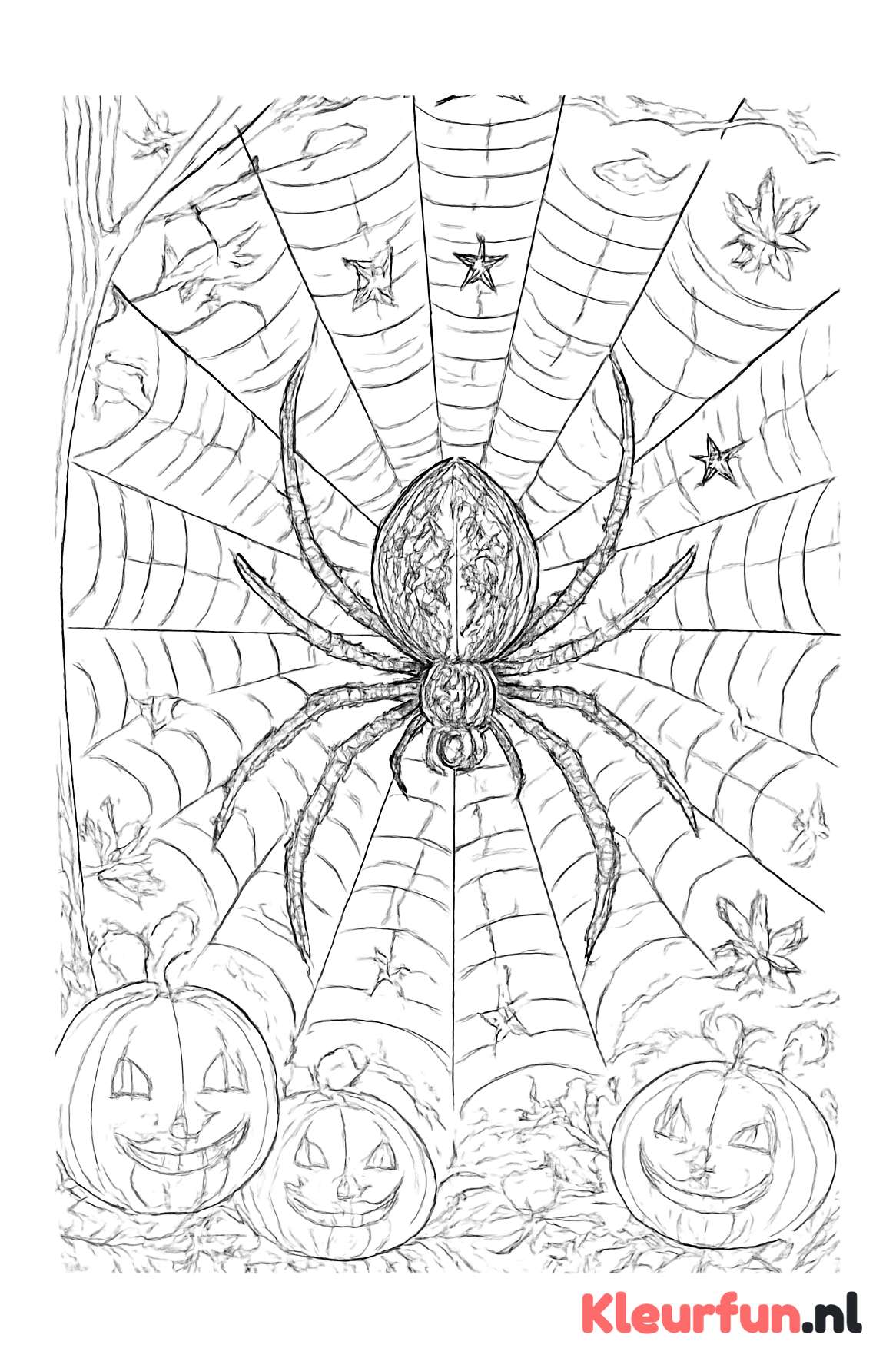 Grote spin in ingewikkeld Halloween-web