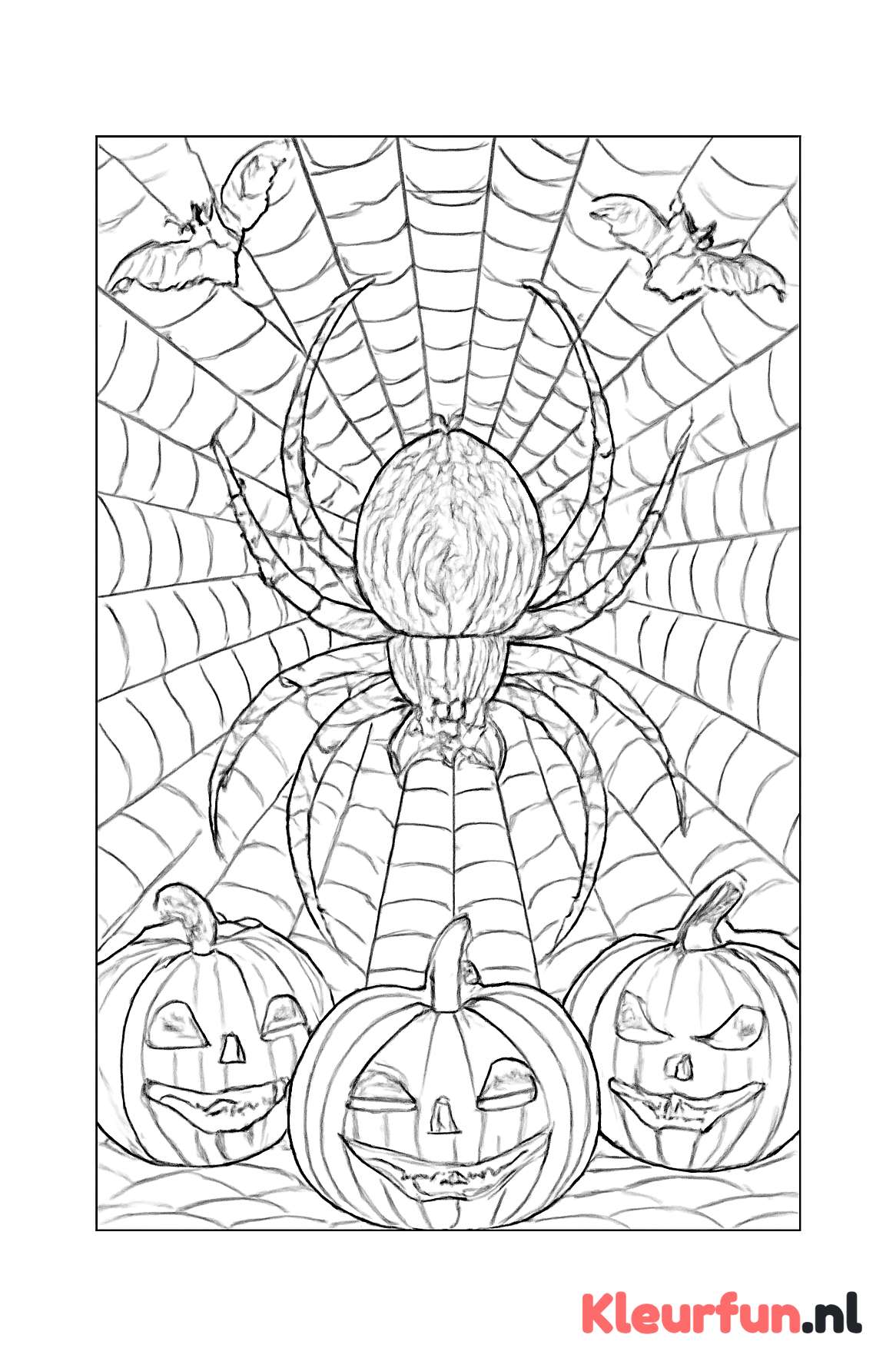 Grote spinnen in web