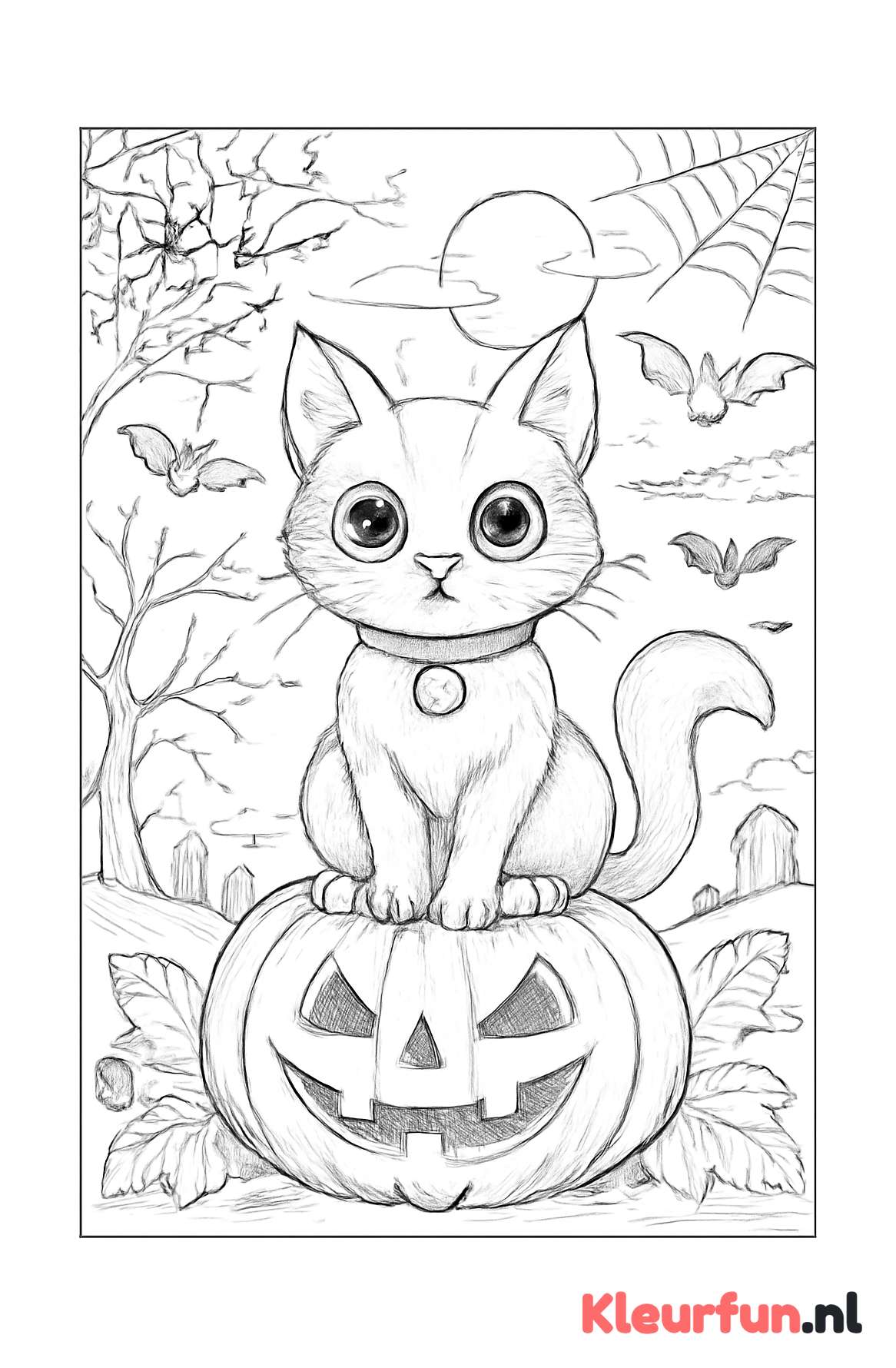Halloween kat op pompoen met vleermuizen
