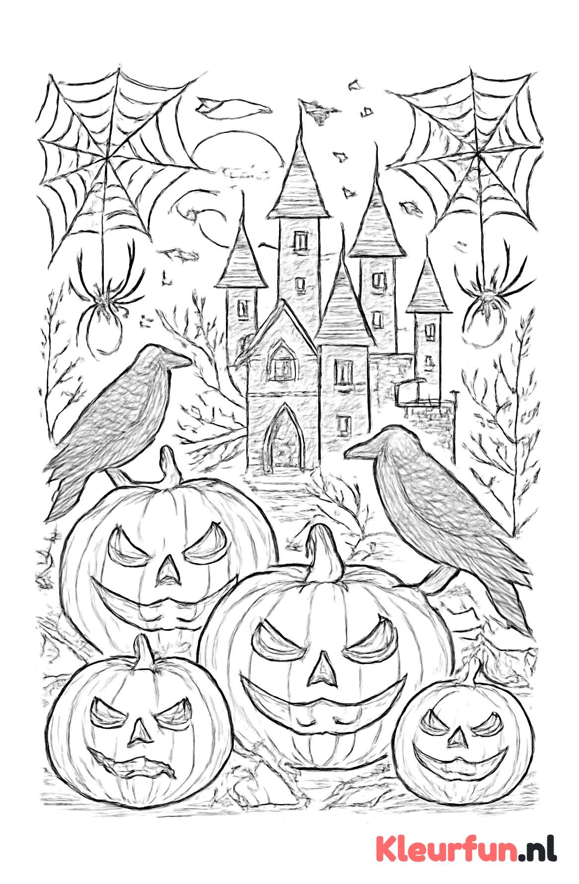 Spookkasteel en spinnenwebben