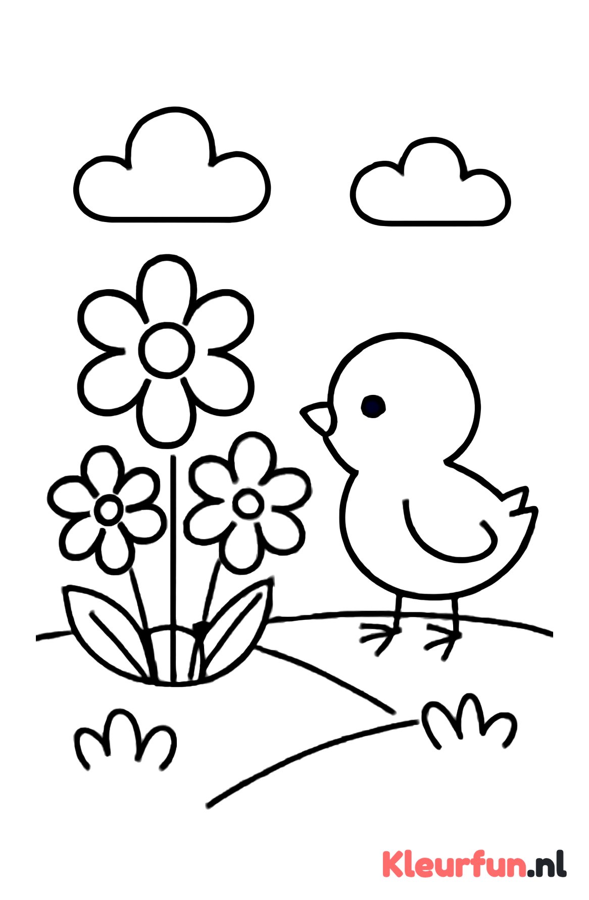 Lente landschap met kuiken