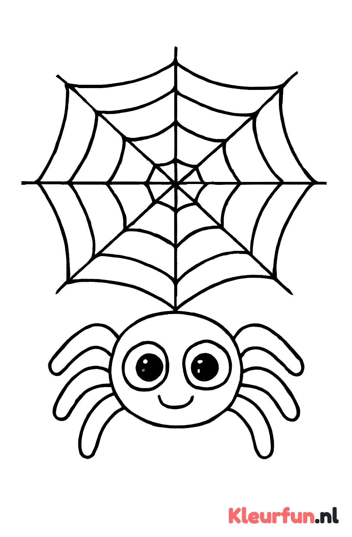Schattige Spin en Spinnenweb