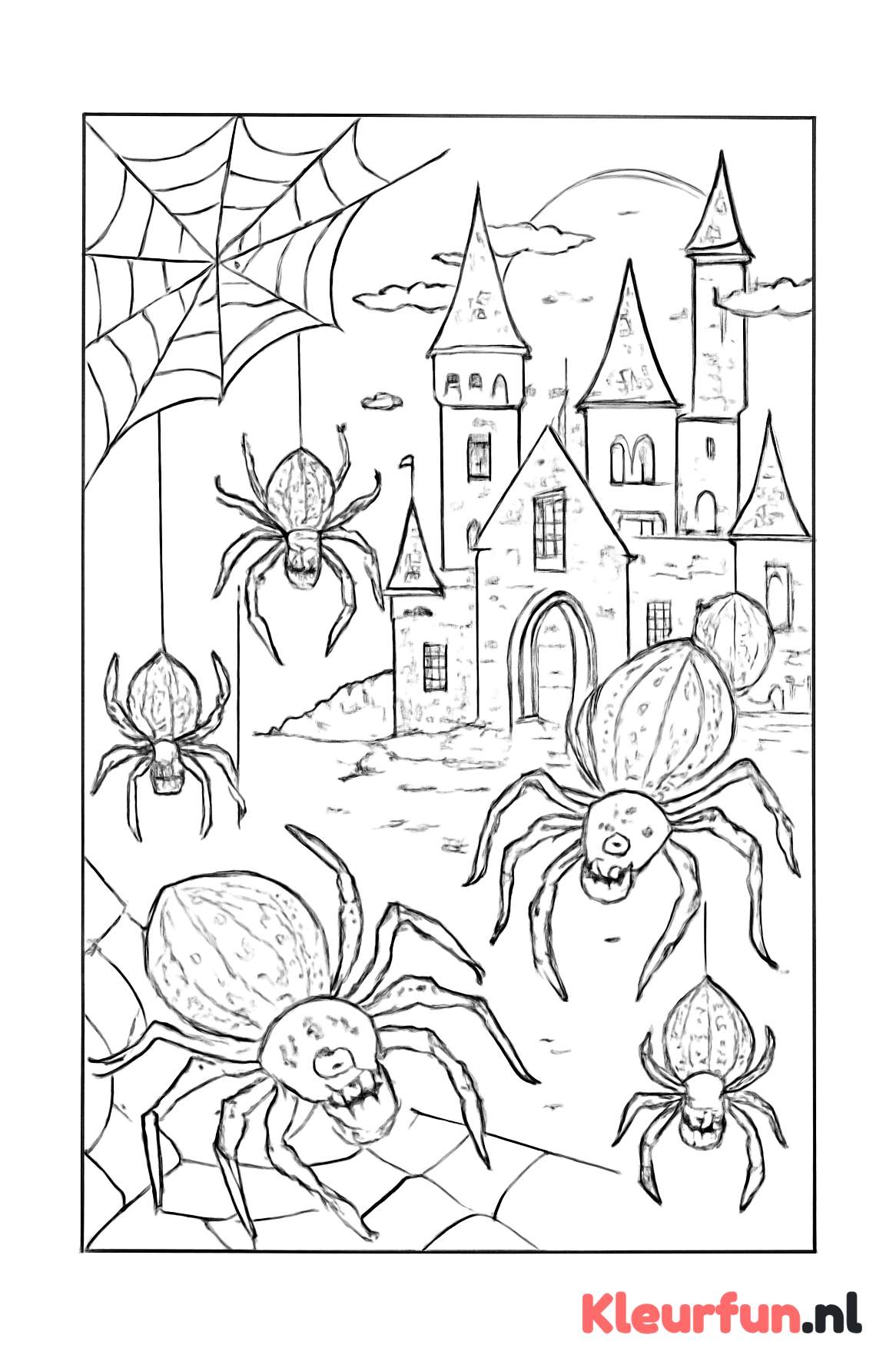 Spin in spookkasteel