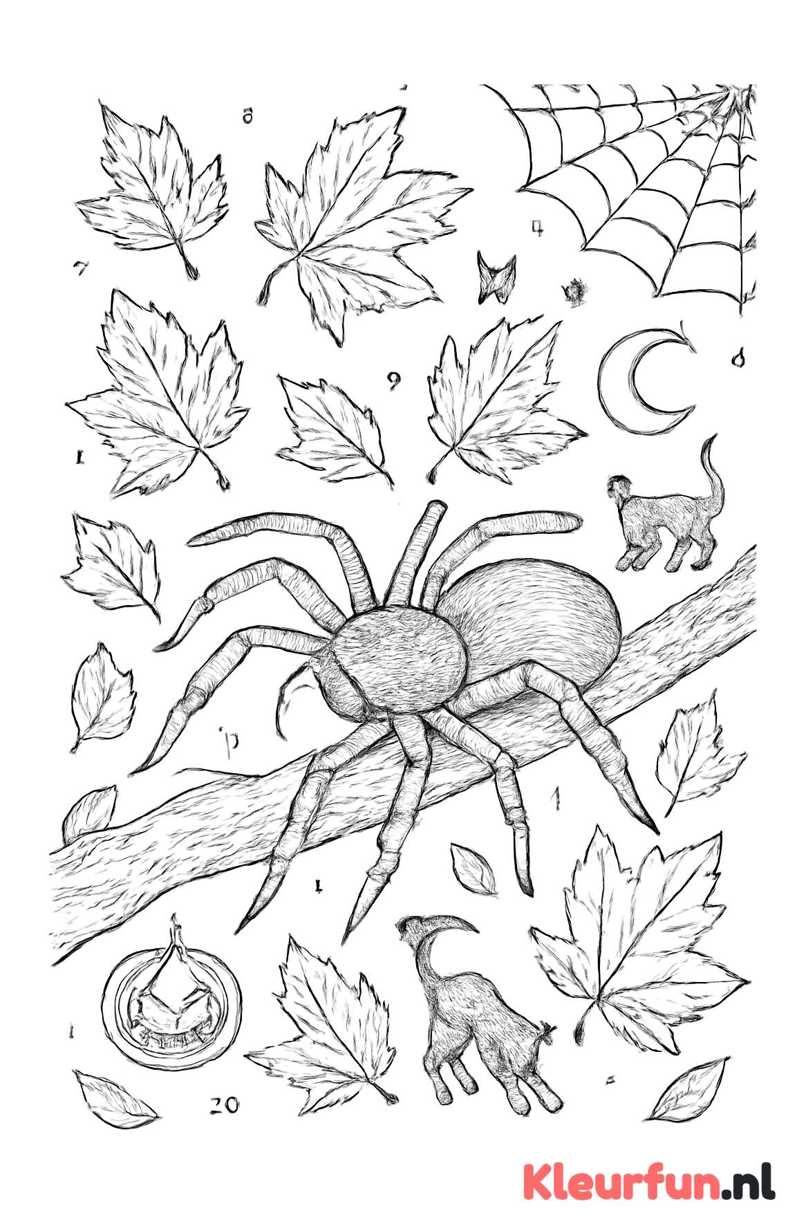 Spin op herfsttak met Halloween symbolen
