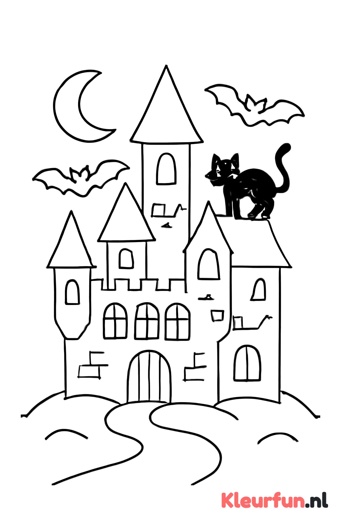 Spookachtig kasteel met vleermuizen en kat