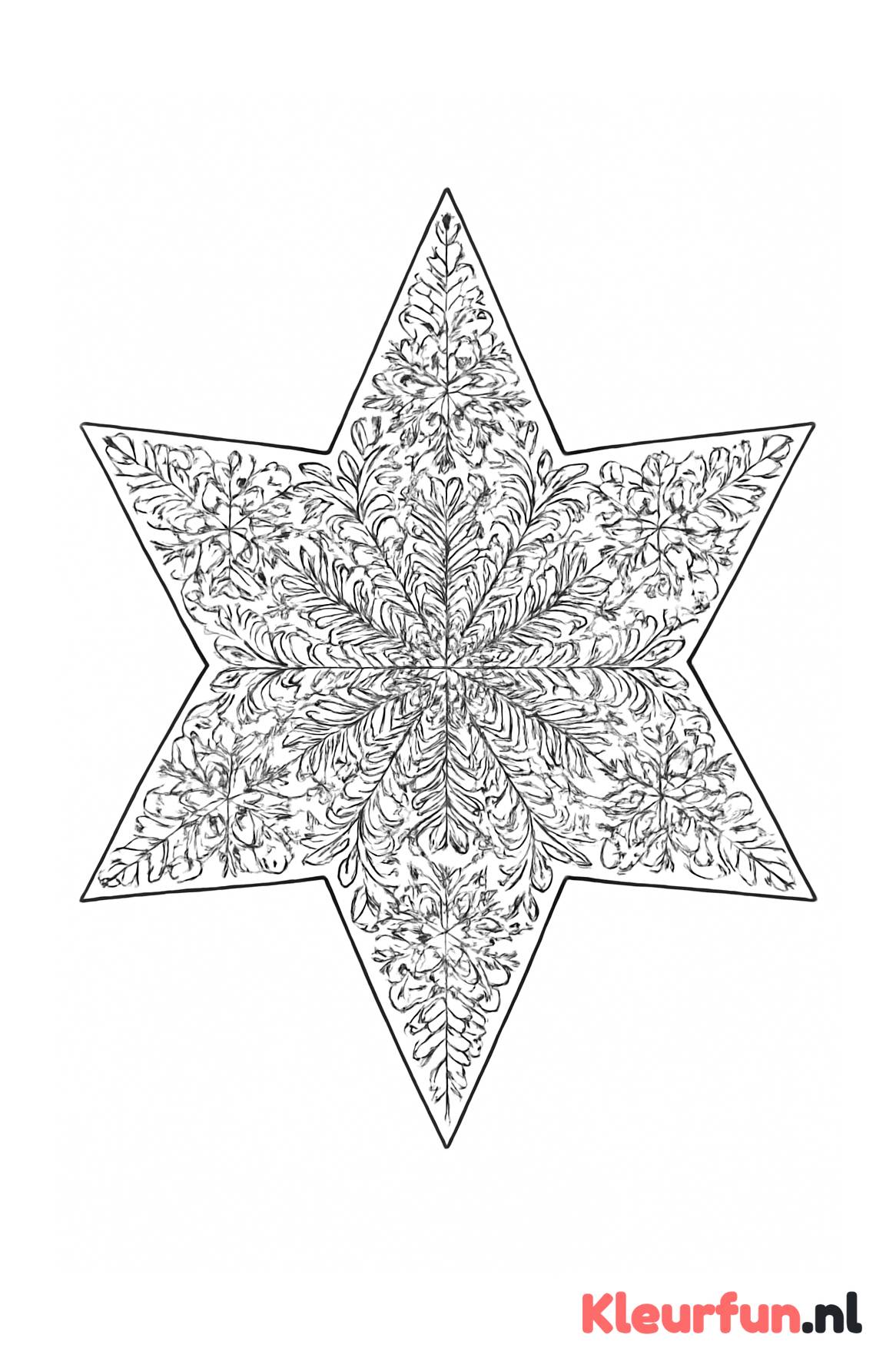 Symmetrische kerstster met sneeuwvlokmotieven
