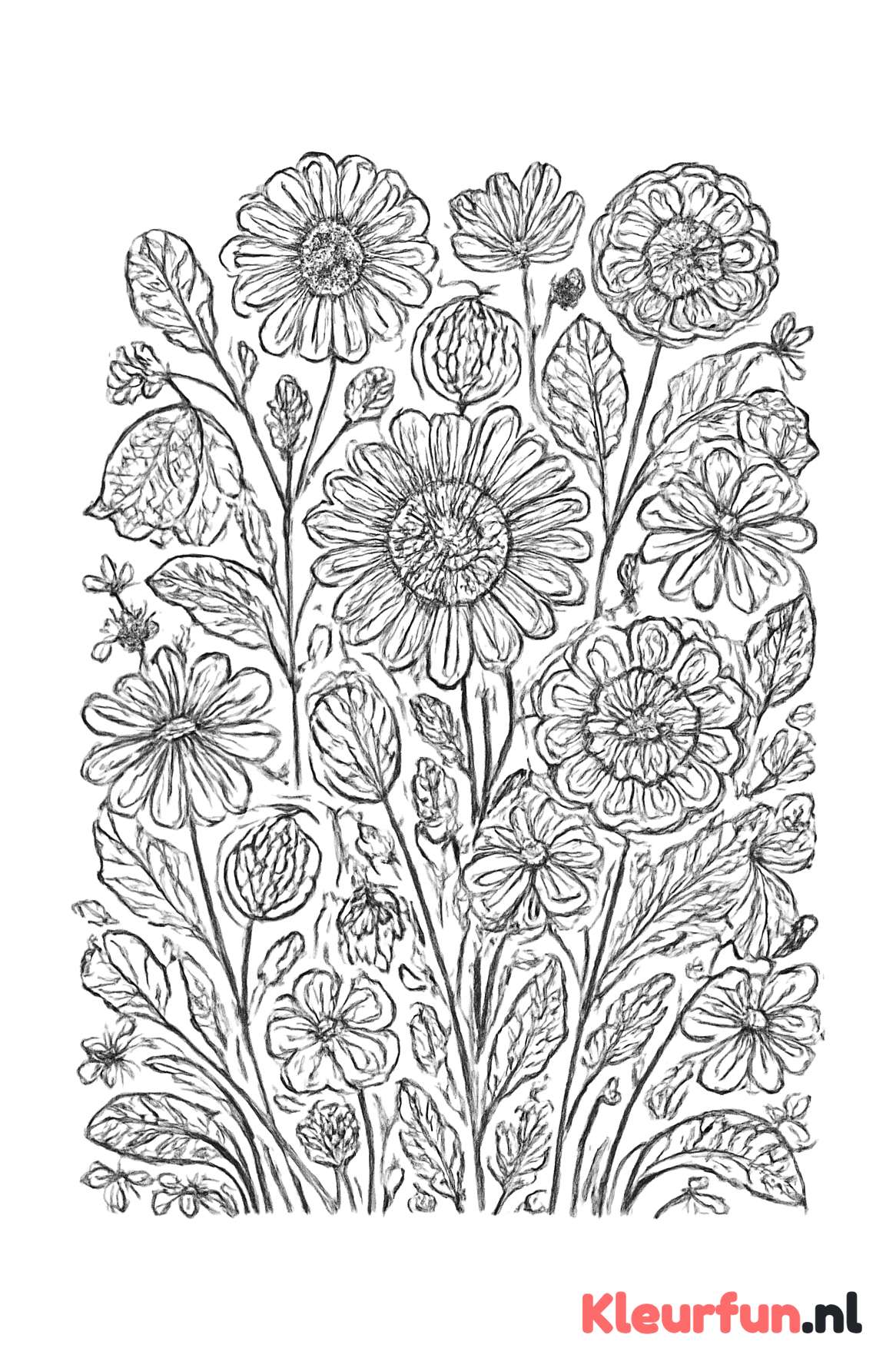 Veld van Wilde Bloemen voor Moederdag