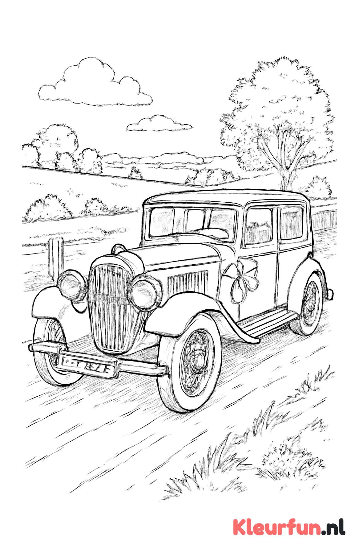 Vintage trouwauto op het platteland