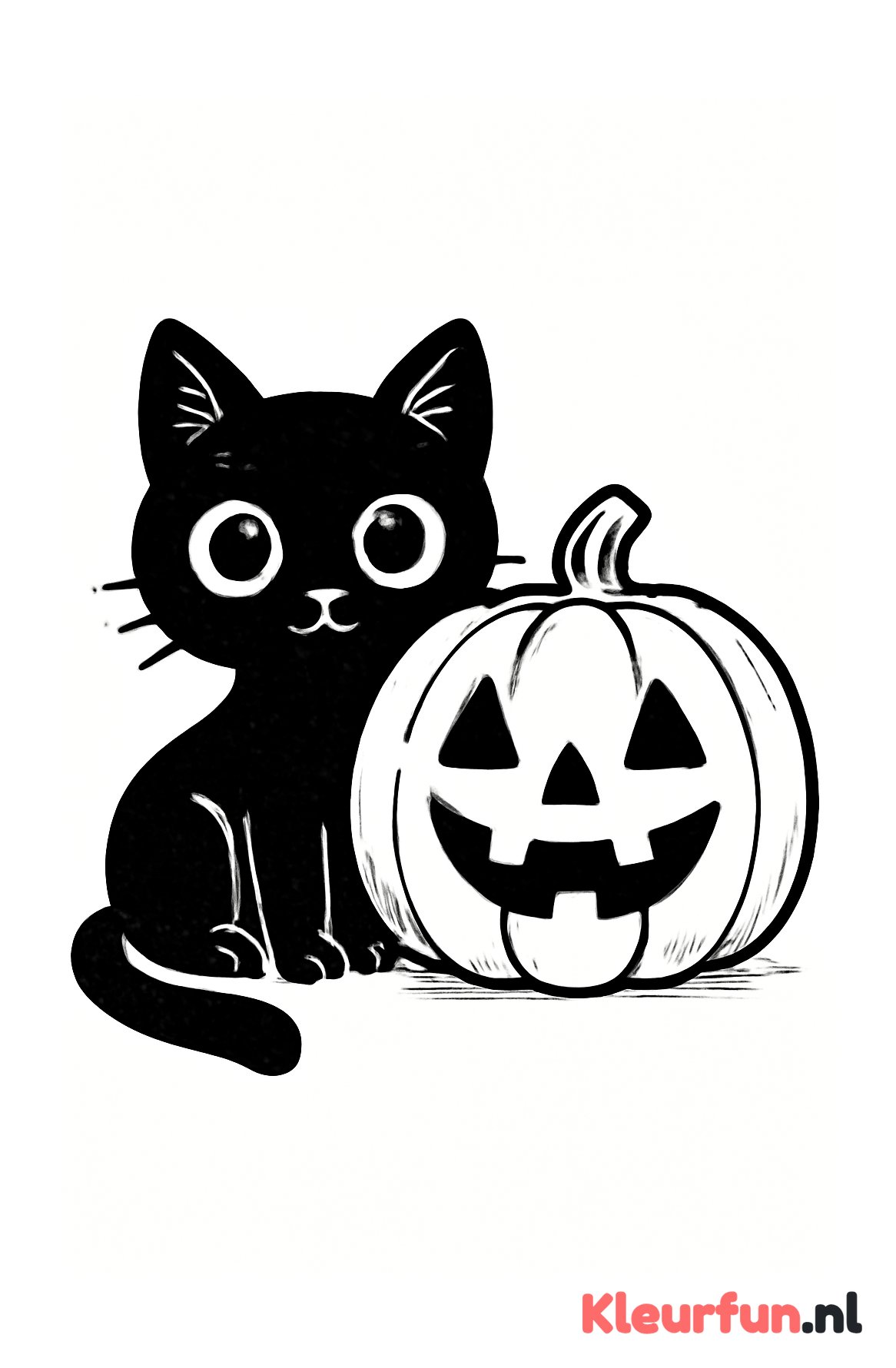 Zwarte kat bij pompoen